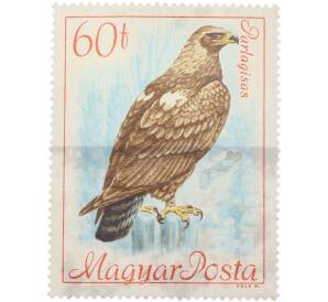 Почтовая марка 60 филлеров 1961 года Венгрия «Птицы — Орел-могильник»