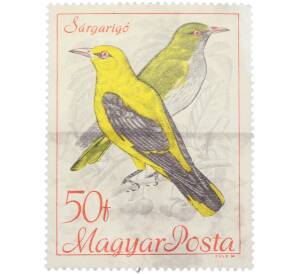 Почтовая марка 50 филлеров 1961 года Венгрия «Птицы — Иволга»