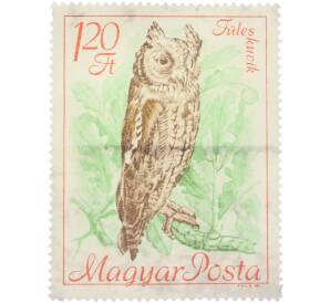Почтовая марка 1.20 форинта 1961 года Венгрия «Птицы — Сплюшка»