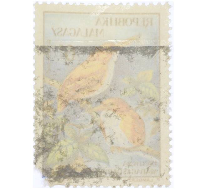 Почтовая марка 6 франков 1960 года Мадагаскар «Фауна — Мадагаскарский лесной зимородок» (Артикул: K12-92770) — Фото №2