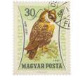 Почтовая марка 30 филлеров 1962 года Венгрия «Птицы — Филин» (Авиапочта) (Артикул: K12-92780) — Фото №1