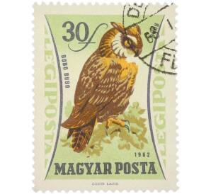 Почтовая марка 30 филлеров 1962 года Венгрия «Птицы — Филин» (Авиапочта)