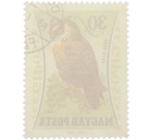 Почтовая марка 30 филлеров 1962 года Венгрия «Птицы — Филин» (Авиапочта)