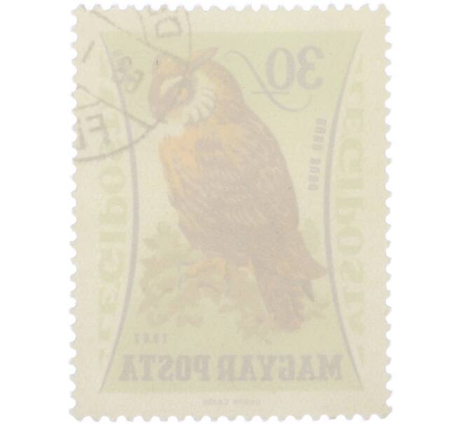 Почтовая марка 30 филлеров 1962 года Венгрия «Птицы — Филин» (Авиапочта) (Артикул: K12-92780) — Фото №2