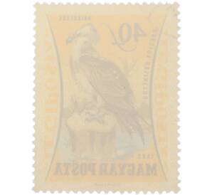 Почтовая марка 40 филлеров 1962 года Венгрия «Птицы — Скопа» (Авиапочта)