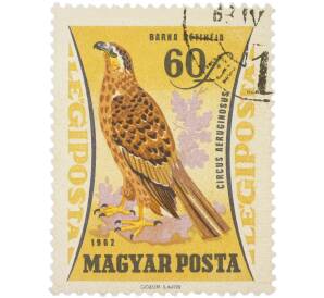 Почтовая марка 60 филлеров 1962 года Венгрия «Птицы — Болотный лунь» (Авиапочта)
