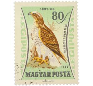 Почтовая марка 80 филлеров 1962 года Венгрия «Птицы — Орел карлик» (Авиапочта) — Фото №1