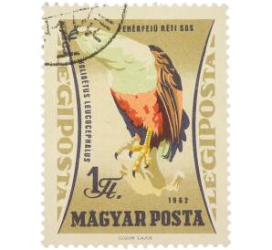 Почтовая марка 1 форинт 1962 года Венгрия «Птицы — Орлан крикун» (Авиапочта)