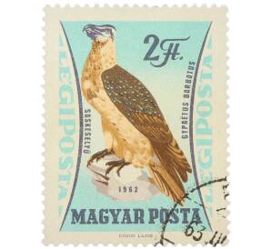 Почтовая марка 2 форинта 1962 года Венгрия «Птицы — Бородач» (Авиапочта) — Фото №1