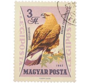 Почтовая марка 3 форинта 1962 года Венгрия «Птицы — Беркут» (Авиапочта) — Фото №1