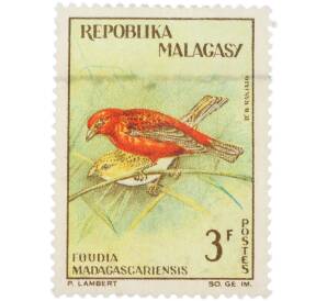 Почтовая марка 3 франка 1963 года Мадагаскар «Птицы — Мадагаскарский фоди»