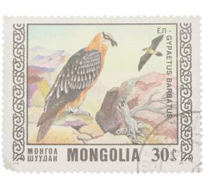 Почтовая марка 30 мунгу 1976 года Монголия «Птицы — Бородач» — Фото №1