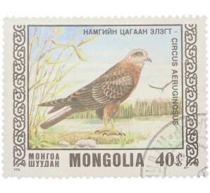 Почтовая марка 40 мунгу 1976 года Монголия «Птицы — Болотный лунь» — Фото №1