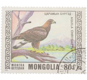 Почтовая марка 80 мунгу 1976 года Монголия «Птицы — Беркут» — Фото №1