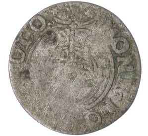 1.5 гроша (полторак) 1620-1627 года Польша — Фото №1