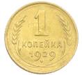 Монета 1 копейка 1929 года (Артикул: K12-92877) — Фото №1