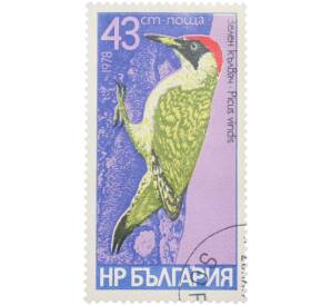 Почтовая марка 43 стотинки 1978 года Болгария «Птицы — Зеленый дятел» — Фото №1