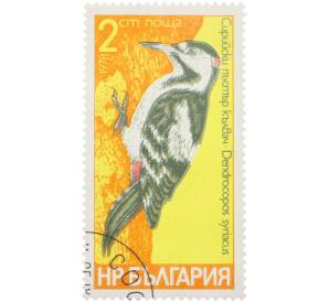 Почтовая марка 2 стотинки 1978 года Болгария «Птицы — Сирийский дятел» — Фото №1