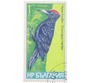 Почтовая марка 1 стотинка 1978 года Болгария «Птицы — Желна» — Фото №1