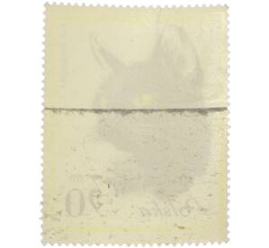 Почтовая марка 30 грошей 1964 года Польша «Кошки — Европейская короткошерстная кошка» — Фото №2