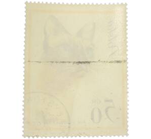 Почтовая марка 50 грошей 1964 года Польша «Кошки — Сиамская кошка» — Фото №2