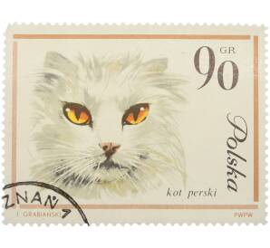 Почтовая марка 90 грошей 1964 года Польша «Кошки — Персидская кошка» — Фото №1