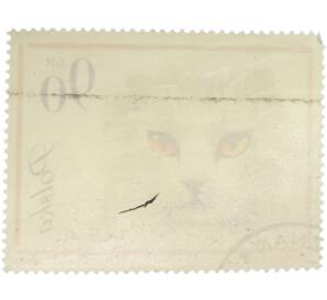 Почтовая марка 90 грошей 1964 года Польша «Кошки — Персидская кошка» — Фото №2