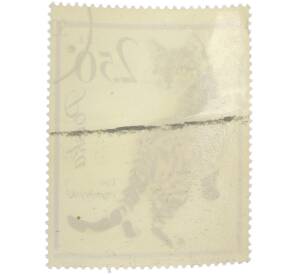 Почтовая марка 2.50 злотых 1964 года Польша «Кошки — Европейская короткошерстная кошка» — Фото №2