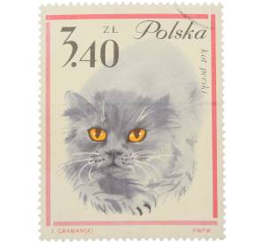 Почтовая марка 3.40 злотых 1964 года Польша «Кошки — Персидская кошка» — Фото №1