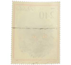 Почтовая марка 3.40 злотых 1964 года Польша «Кошки — Персидская кошка» — Фото №2