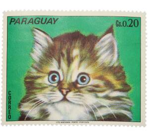 Почтовая марка 0.20 гуарани 1979 года Парагвай «Кошки — Котенок» — Фото №1