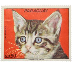Почтовая марка 0.50 гуарани 1979 года Парагвай «Кошки — Полосатый котенок» — Фото №1