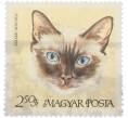 Почтовая марка 2.50 форинта 1968 года Венгрия «Породы кошек — Сиамская кошка» (Артикул: K12-93051) — Фото №1