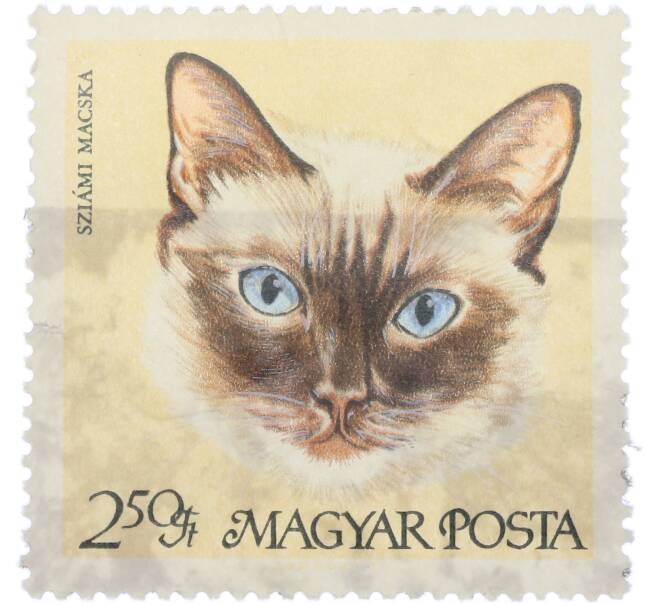 Почтовая марка 2.50 форинта 1968 года Венгрия «Породы кошек — Сиамская кошка» (Артикул: K12-93051) — Фото №1