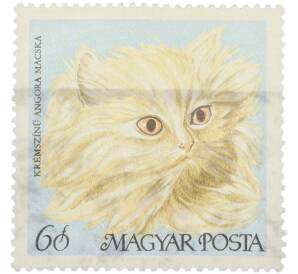 Почтовая марка 60 филлеров 1968 года Венгрия «Породы кошек — Ангорская кошка кремового окраса» — Фото №1