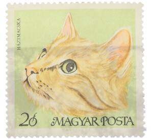 Почтовая марка 20 филлеров 1968 года Венгрия «Породы кошек — Домашняя кошка» — Фото №1