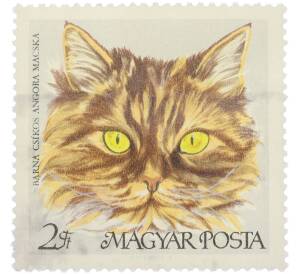 Почтовая марка 2 форинта 1968 года Венгрия «Породы кошек — Полосатая ангорская кошка» — Фото №1