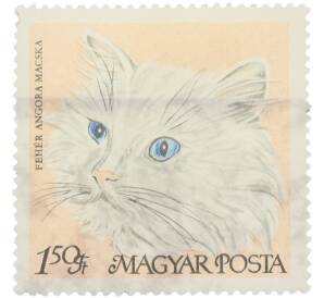 Почтовая марка 1.50 форинта 1968 года Венгрия «Породы кошек — Белая ангорская кошка» — Фото №1