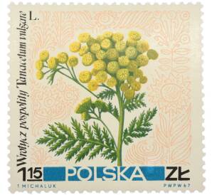 Почтовая марка 1.15 злотых 1967 года Польша «Лекарственные растения — Пижма обыкновенная» — Фото №1