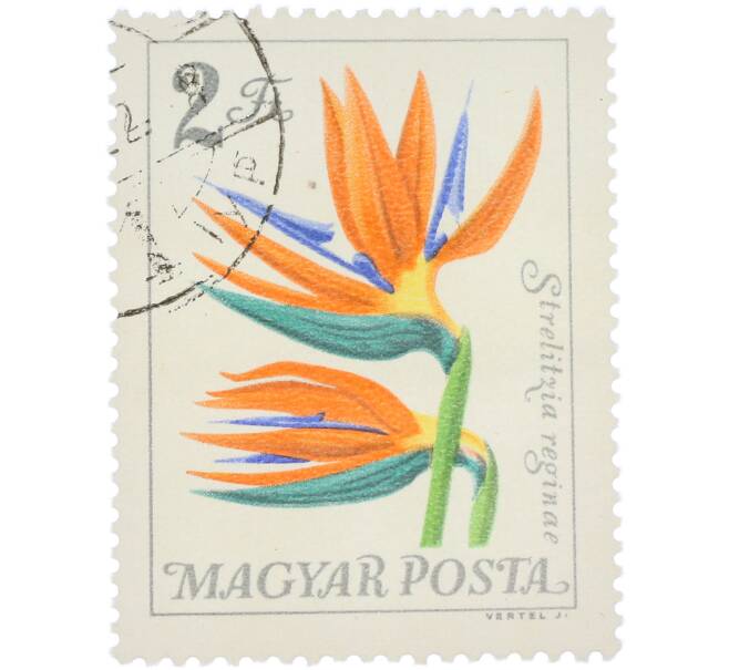 Почтовая марка 2 форинта 1962 года Венгрия «Водные растения — Стрелитция королевская» (Артикул: K12-93077) — Фото №1