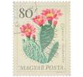 Почтовая марка 80 филлеров 1962 года Венгрия «Водные и растения — Опунция розантовидная» (Артикул: K12-93080) — Фото №1