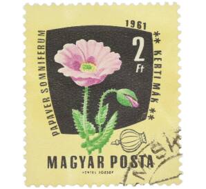 Почтовая марка 2 форинта 1961 года Венгрия «Лекарственные растения — Мак снотворный» — Фото №1