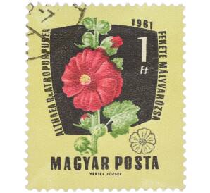 Почтовая марка 1 форинт 1961 года Венгрия «Лекарственные растения — Штокроза розовая» — Фото №1