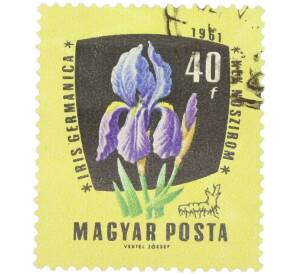 Почтовая марка 40 форинтов 1961 года Венгрия «Лекарственные растения — Ирис германский» — Фото №1