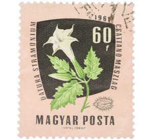 Почтовая марка 60 филлеров 1961 года Венгрия «Лекарственные растения — Дурман обыкновенный» — Фото №1