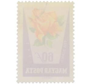 Почтовая марка 60 филлеров 1962 года Венгрия «Розы — Чайно-гибридная роза» (Авиапочта) — Фото №2