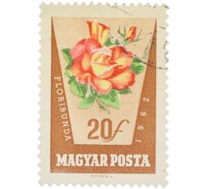 Почтовая марка 20 филлеров 1962 года Венгрия «Розы — Роза флорибунда» (Авиапочта) — Фото №1