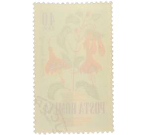 Почтовая марка 40 бань 1964 года Румыния «Садовые цветы — Фуксия изящная» — Фото №2
