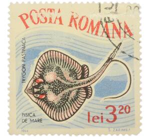 Почтовая марка 3.20 лей 1964 года Румыния «Рыбы — Морской кот»