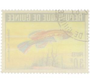 Почтовая марка 30 франков 1964 года Гвинея «Аквариумные рыбы — Афиосемион Кортхаус»